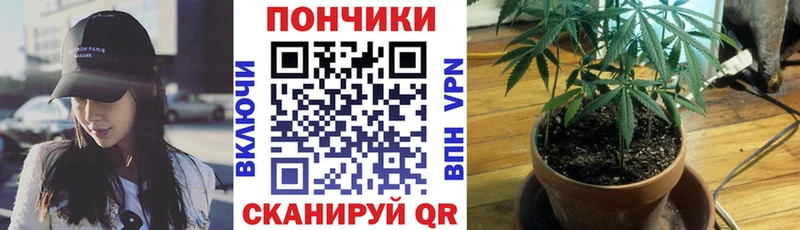 Конопля марихуана  Купить закладки  Суровикино 